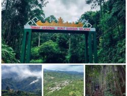 Memulihkan Paru-Paru Lampung: Ujian Berat Rahmat Mirzani Djausal di TNBBS