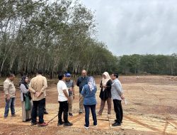 Direktur Pakan Kunjungi Kebun Kedaton, Pastikan Kesiapan Groundbreaking Program Presiden RI
