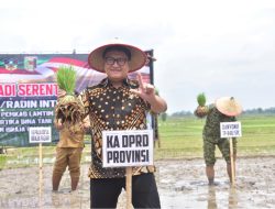 Ketua DPRD Lampung Hadiri Tanam Padi Bersama Forkopimda