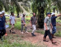 PTPN Perketat Pengawasan, Produktivitas Kebun Didongkrak