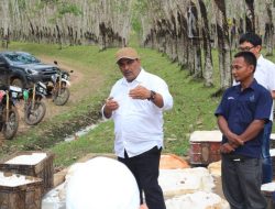 PTPN I AKSELERASI KARET NASIONAL