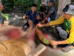 MINANG INDAH GROUP TEBAR 640 PAKET QURBAN