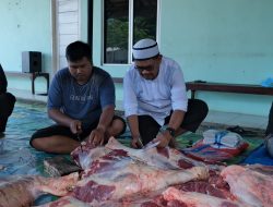 PLN Nusantara Power UP Bandar Lampung Tebar Kepedulian di Hari Raya Kurban
