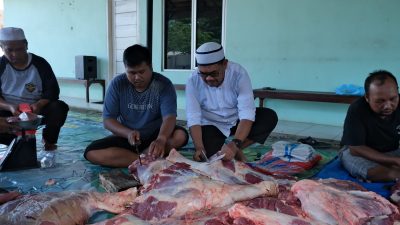 PLN Nusantara Power UP Bandar Lampung Tebar Kepedulian di Hari Raya Kurban
