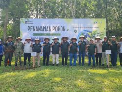Tanam 1.300 Pohon Buah, PTPN I Regional 7 Gaungkan Ekonomi Hijau