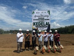 PTPN IV PalmCo Tancap Gas Kembangkan Kedelai