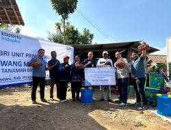 BRI dan Pemprov Lampung Perkuat Klaster Bawang Merah Pajaresuk