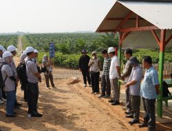 PTPN IV Regional VII Pacu Transformasi Digital Perkebunan, Aparatur Way Kanan Dilatih Pemetaan Berbasis GPS