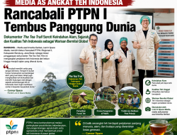 Media AS Angkat Teh Indonesia, Rancabali PTPN I Tembus Panggung Dunia
