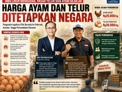 MBG Libur, Pasar Telur dan Ayam Bergejolak