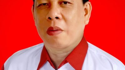 HUT ke-81 RI, Fandi Tjandra Ajak Masyarakat Implementasikan Cinta Tanah Air