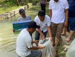 KEBUN BAH JAMBI PERKUAT EKONOMI WARGA SIMALUNGUN