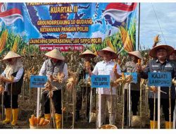 DPRD LAMPUNG DUKUNG PANEN JAGUNG PERKUAT KETAHANAN PANGAN