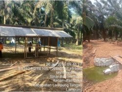 234 HEKTARE KEBUN BEKRI DIKUASAI OKUPAN; SPPN VII: SELAMATKAN KEBUN, SELAMATKAN SUMBER NAFKAH PEKERJA