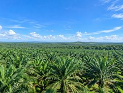 PTPN IV Regional VII Ajak Jaga Kebun Bekri